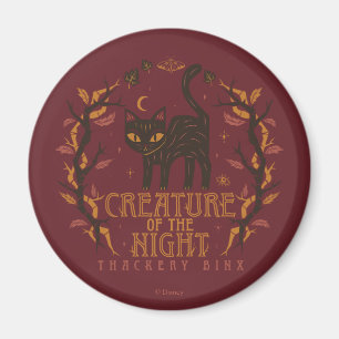 Aimant Hocus Pocus Thackery Binx Night Magie