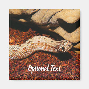 Aimant Hognose Pet Snack