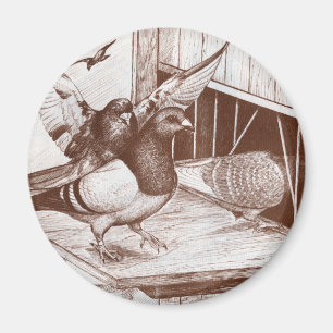 Aimant Homecoming Homecoming Homes