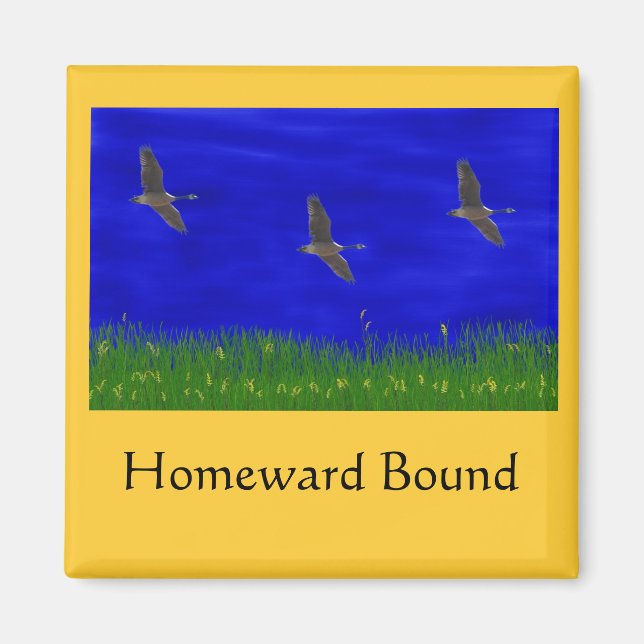AIMANT HOMEWARD BOUT (Devant)