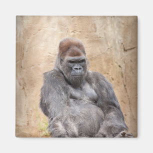 Aimant Homme Gorilla