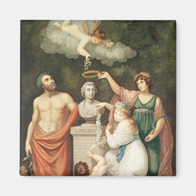 Aimant Honorer le buste de Linnaeus (Devant)