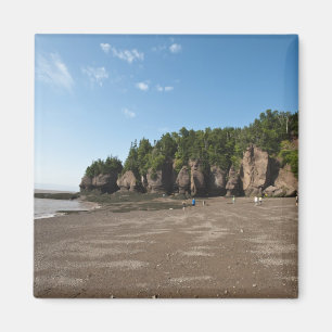 Aimant Hopewell Rocks et le site d'exploration de la maré