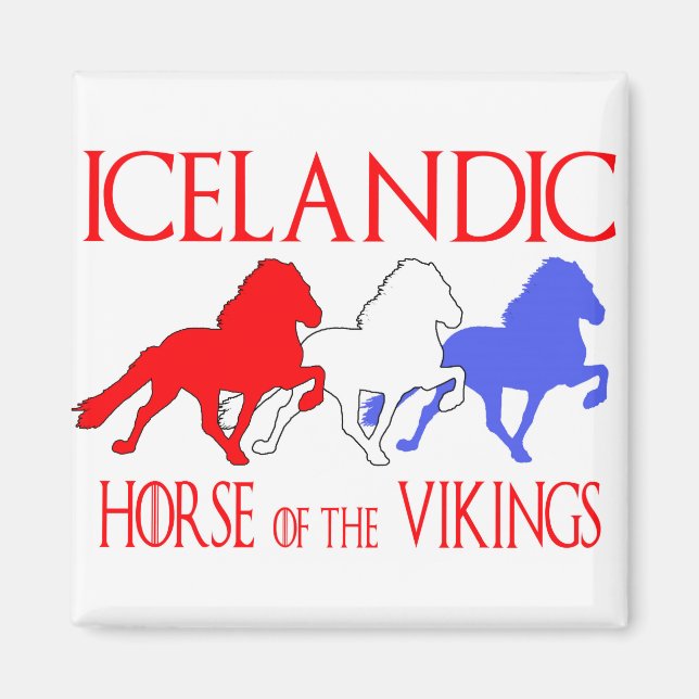 Aimant horseofthevikings2019 (Devant)