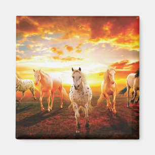 Aimant Horses at sunset throw pillow