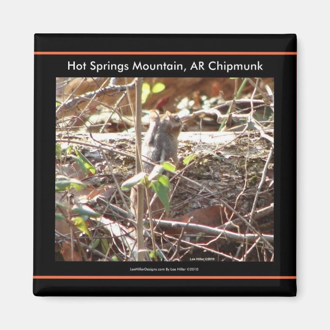 Aimant Hot Springs Mountain, Arkansas Chipmunk Cadfts (Devant)