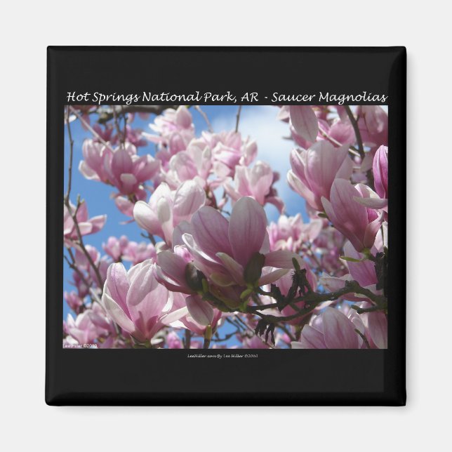 Aimant Hot Springs National Park AR Saucer Magnoia Cadeau (Devant)