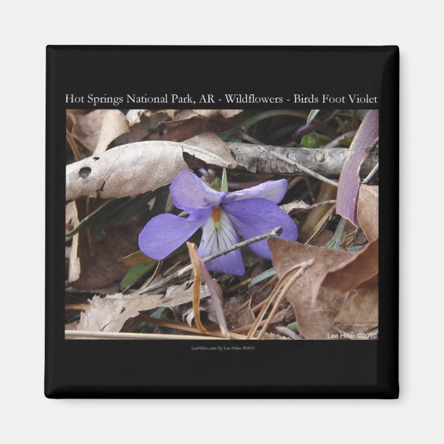 Aimant Hot Springs National Park, AR Wild Violets Cadeaux (Devant)