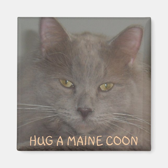AIMANT HUG A MAMAN COON (Devant)