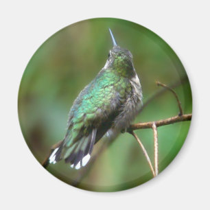 Aimant Humm, prendre un repos