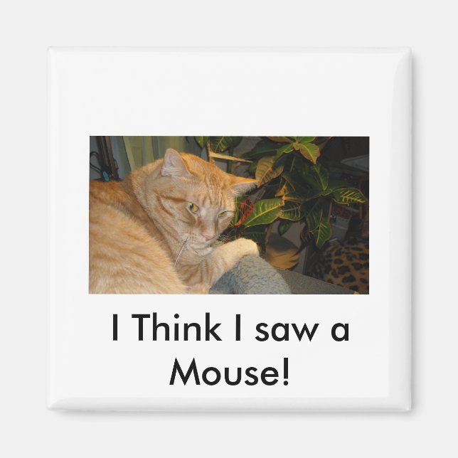 Aimant Humour Chat et souris (Devant)