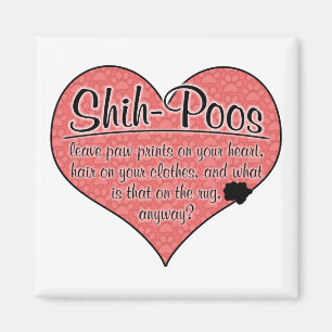Aimant Humour de chien d'empreintes de pattes de Shih-Poo