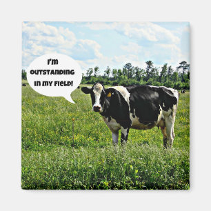 Aimant Humour de vache