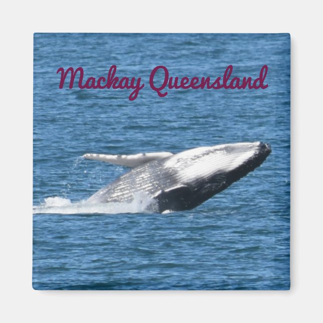 AIMANT HUMPBACK WHALE TAIL MACKAY QUEENSLAND AUSTRALIE (Devant)