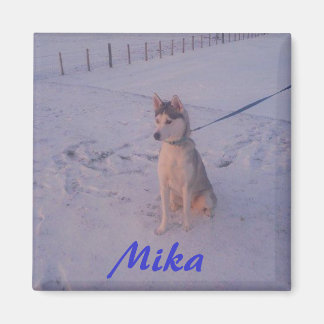 Aimant Husky.Mika.aimant