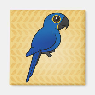 Aimant Hyacinth Macaw