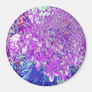 Aimant Hydrangea Élégant Violet et Bleu Limelight