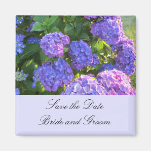 Aimant Hydrangeas bleues et violettes