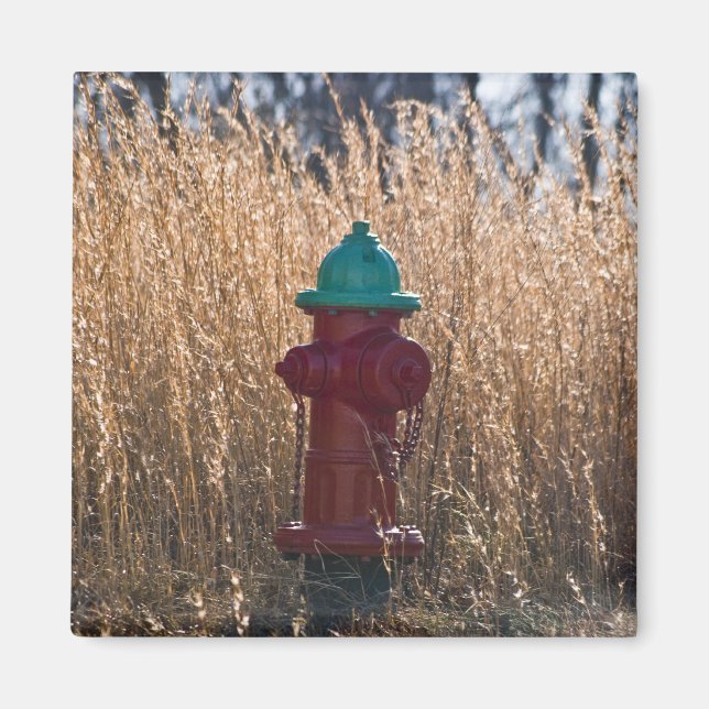 Aimant Hydrant incendie (Devant)