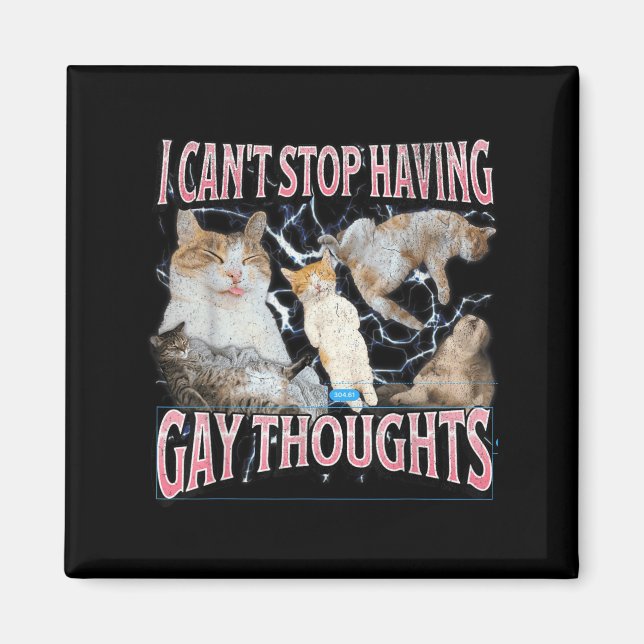 Aimant I Can't Stop Having Gay Thoughts Funny Cat Meme Bo (Devant)