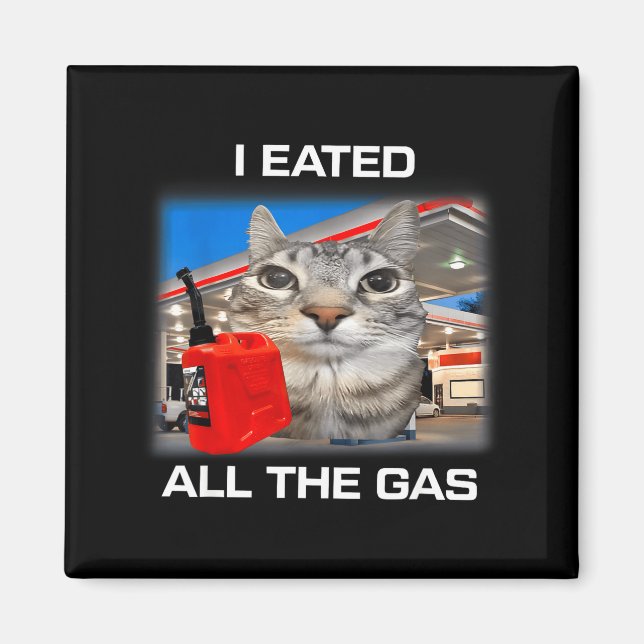Aimant I Eated All The Gas Funny Silly Staring Cat Meme G (Devant)