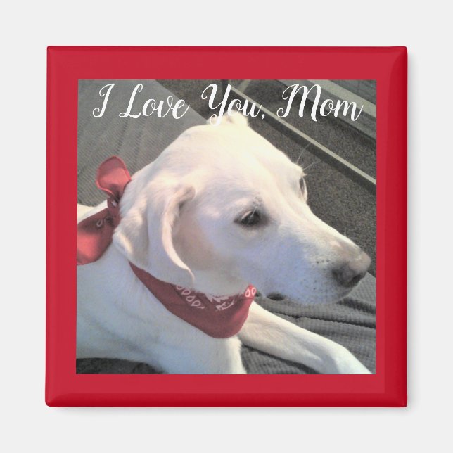 Aimant I Log you Chig Maman blanc Labrador Retriever Mix (Devant)