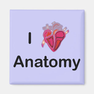 Aimant I Love Anatomy with human heart!