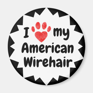 Aimant I Love My American Wirehair Cat