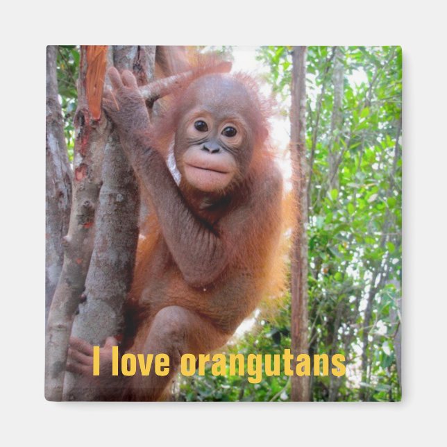 Aimant I Love Orangutans with Baby Uttuh (Devant)