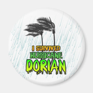 Aimant I survived Hurricane Dorian trees