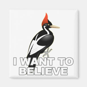 Aimant IBWO : Je Veux Croire