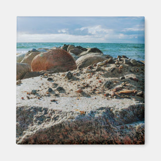 Aimant Ich va nicht viel qui va nur Meer