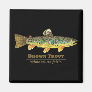 Aimant Ichthyologie latine Brown