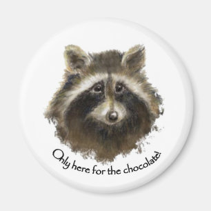 Aimant Ici pour le chocolat, mignon Raccoon, Animal