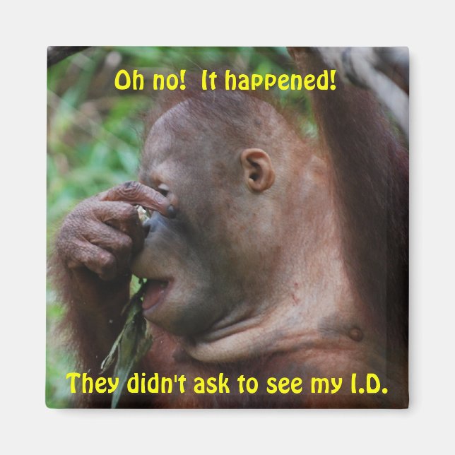 Aimant Identification (Devant)