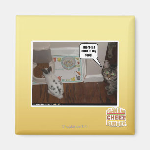 Aimant Il y a un lièvre dans ma nourriture.