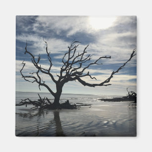 Aimant Île Jekyll Géorgie
