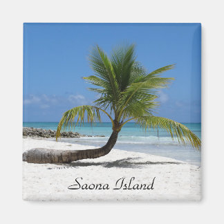 Aimant Île Saona