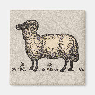 Aimant Illustration de mouton vintage : Art classique de