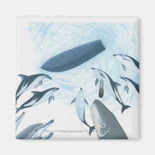 Aimant Illustration des dauphins regardant un bateau