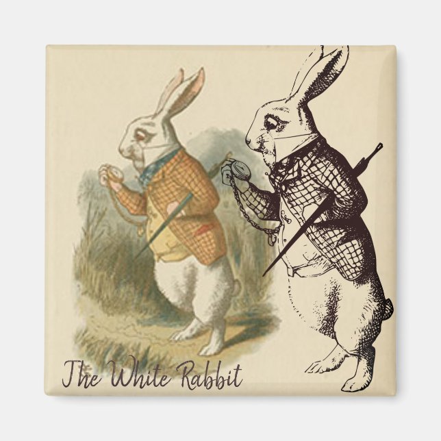 Aimant Illustration vintage de lapin blanc (Devant)