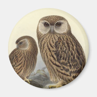 Aimant Illustration Vintage de Laughing Owl