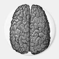 Illustration vintage du cerveau humain
