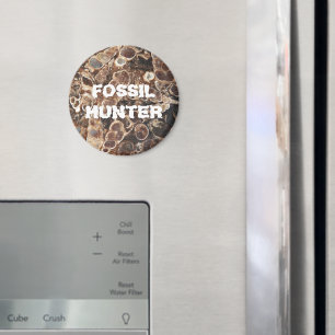 Aimant Image d'agate de Turritella, chasseur de fossiles