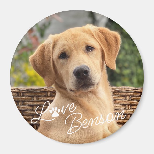 Aimant Image moderne personnalisée Aimer Paw Coeur Texte (Devant)
