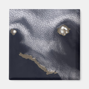 Aimant Image satellite de l'île de Semisopochnoi