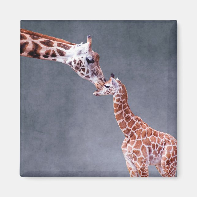 Aimant Images Getty | Mère et bébé Giraffe (Devant)