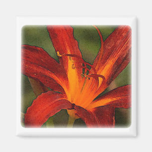 Aimant impact graphique du grand lis rouge