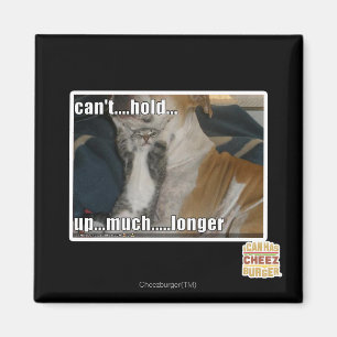 Aimant Impossible de tenir plus longtemps