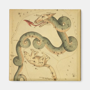 Aimant Impression astronomique vintage Draco & Ursa Mineu